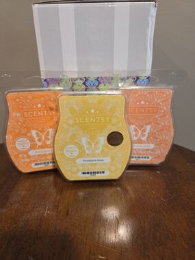 Scentsy Wax Melt Bars